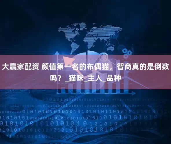 大赢家配资 颜值第一名的布偶猫，智商真的是倒数吗？_猫咪_主人_品种