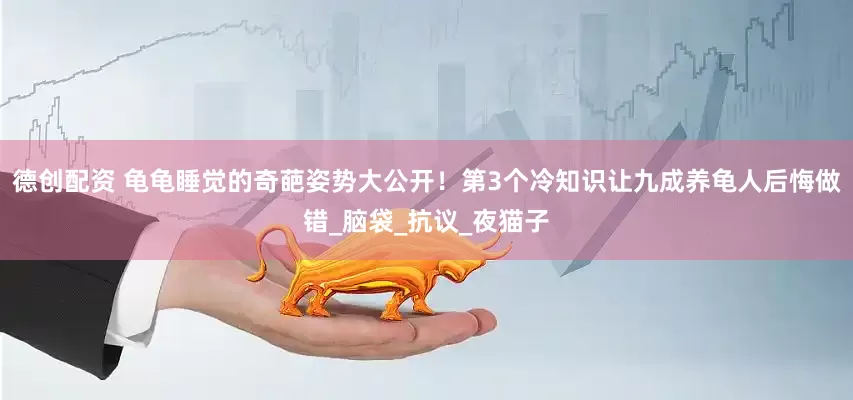 德创配资 龟龟睡觉的奇葩姿势大公开！第3个冷知识让九成养龟人后悔做错_脑袋_抗议_夜猫子