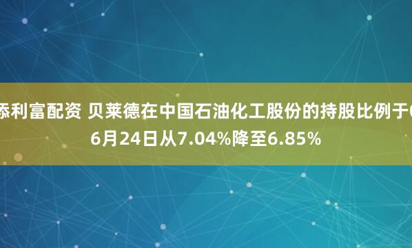 添利富配资 贝莱德在中国石油化工股份的持股比例于06月24日从7.04%降至6.85%