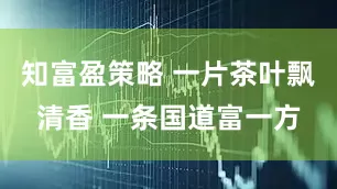 知富盈策略 一片茶叶飘清香 一条国道富一方