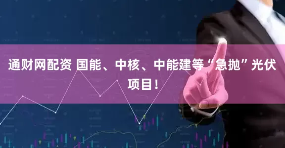 通财网配资 国能、中核、中能建等“急抛”光伏项目！